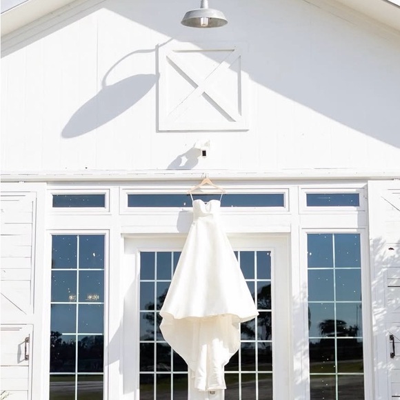 Pronovias Elegant White Wedding Dress